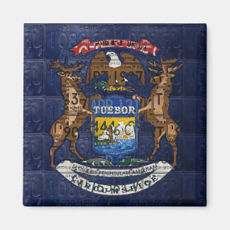Imán Bandera del estado de Michigan en las placas de li