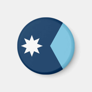 Imán Bandera del estado de Minnesota Estados Unidos