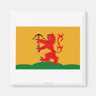 Imán Bandera del län de Kronobergs