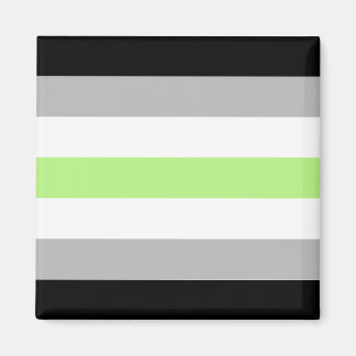Imán Bandera del Orgullo Agénero – Identidad Agénero LG