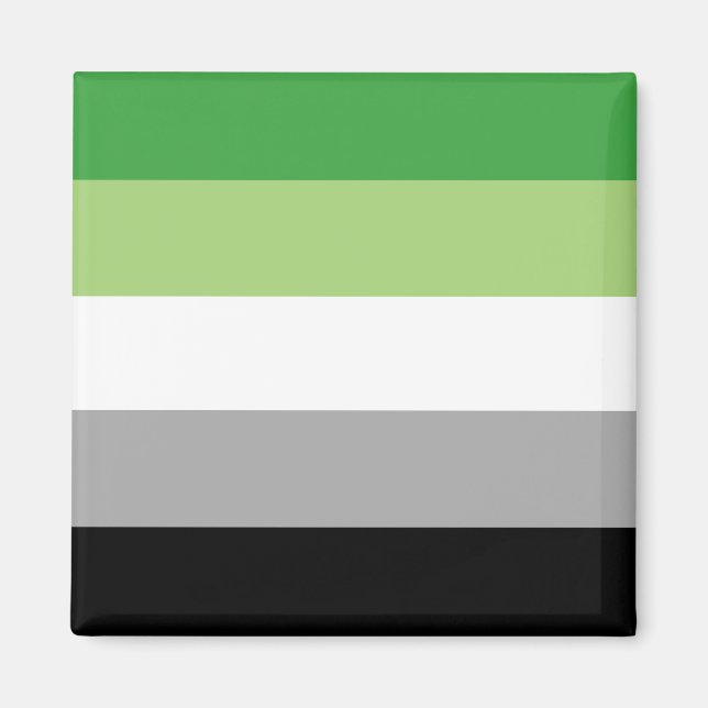 Imán Bandera del Orgullo Aromántico (Frente)
