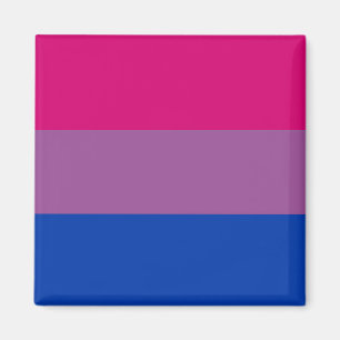 Imán Bandera del Orgullo Bisexual