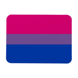 Imán Bandera del Orgullo Bisexual