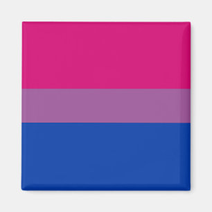 Imán Bandera del Orgullo Bisexual