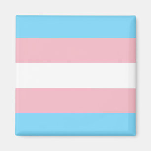 Imán Bandera del orgullo del transporte