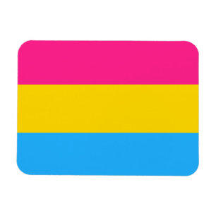 Imán Bandera del orgullo pansexual LGBTQ