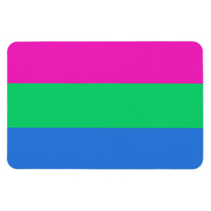 Imán Bandera del Orgullo Polisexual