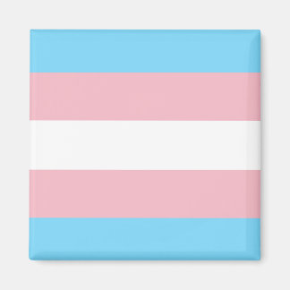 Imán Bandera del Orgullo Trans