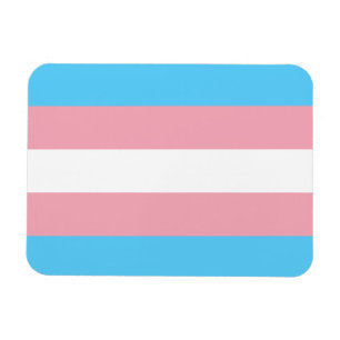 Imán Bandera del Orgullo Transgénero