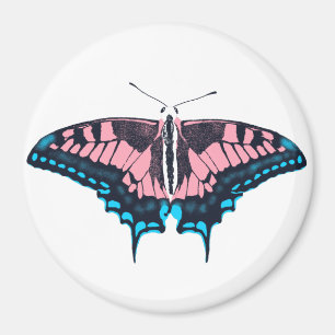 Imán Bandera del Orgullo Transgénero Mariposa Tradicion