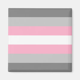 Imán Bandera Demigirl (Orgullo Demi Chica) (Identidad d
