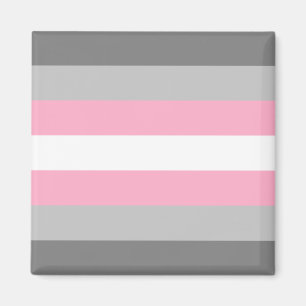 Imán Bandera Demigirl (Orgullo Demi Chica) (Identidad d