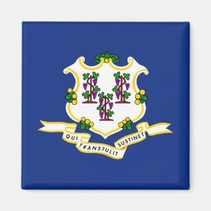 Imán Bandera estatal de Connecticut