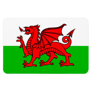 Imán Bandera galesa del dragón rojo galés