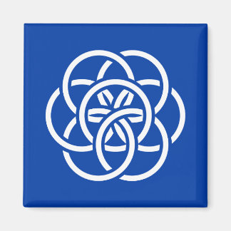 Imán Bandera internacional del planeta Tierra