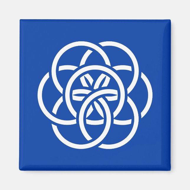 Imán Bandera internacional del planeta Tierra (Frente)