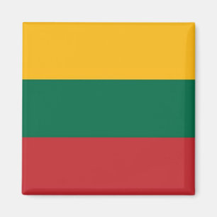 Imán BANDERA LITUANA zLT001 de LITUANIA - Fridge