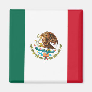 Imán Bandera mexicana - Bandera de México