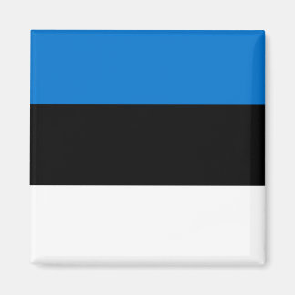 Imán Bandera Mundial de Estonia