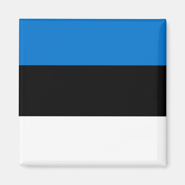 Imán Bandera Mundial de Estonia (Frente)