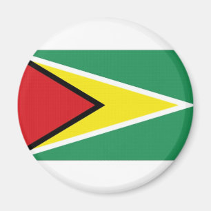 Imán Bandera nacional de Guyana