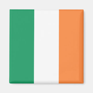 Imán Bandera Nacional de Irlanda, Estandarte irlandés, 