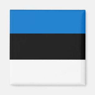 Imán Bandera nacional del mundo de Estonia