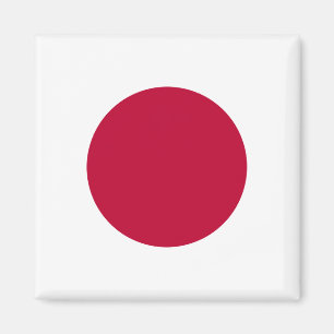 Imán Bandera nacional del mundo de Japón