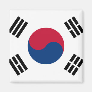 Imán Bandera nacional del mundo de la Corea del Sur