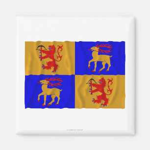 Imán Bandera que agita del län de Kalmar