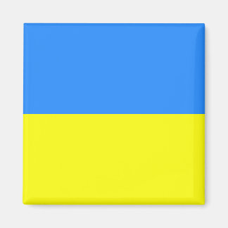 Imán Bandera ucraniana