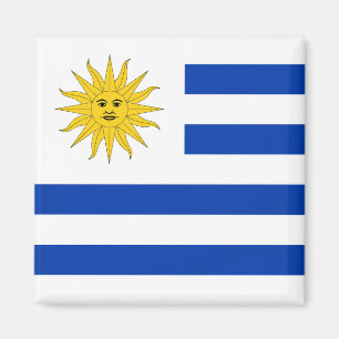Imán Bandera uruguaya