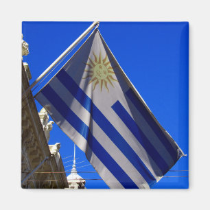 Imán bandera uruguaya