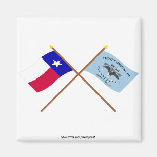 Imán Banderas cruzadas de los grises de Tejas y de New