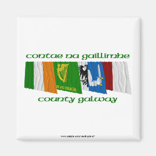 Imán Banderas de Galway del condado
