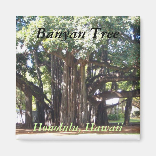Imán Banyan Tree (Frente)