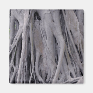 Imán Banyan Tree Trunk
