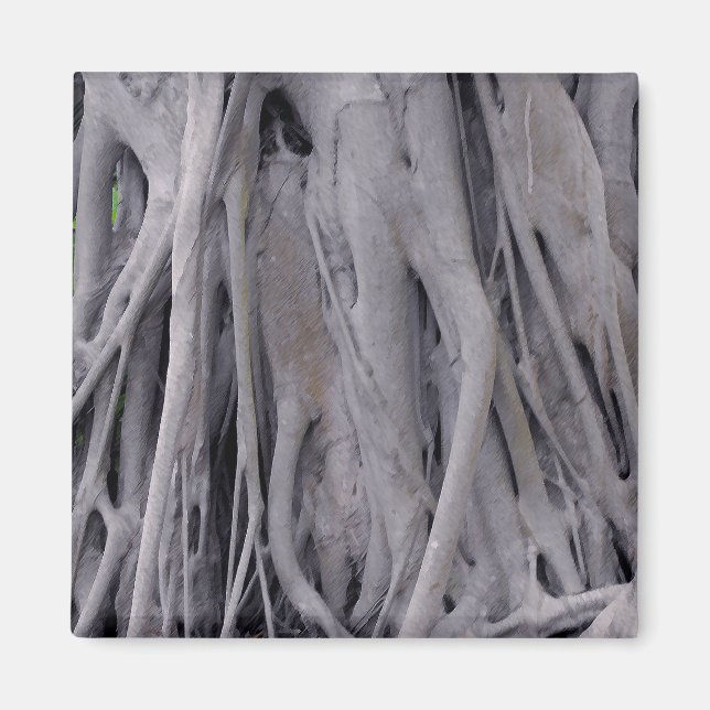 Imán Banyan Tree Trunk (Frente)