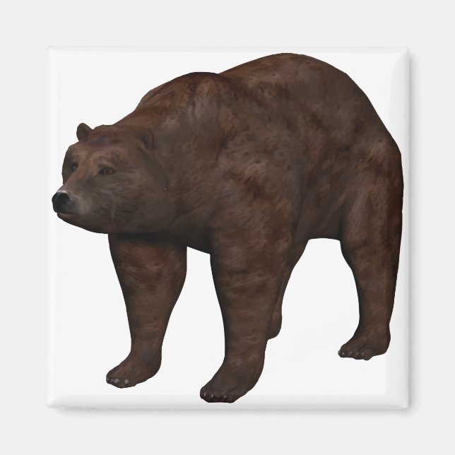 Imán Bär (Frente)