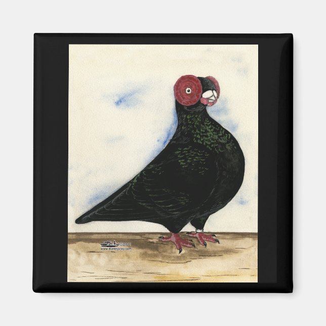 Imán Barb Pigeon Watercolor (Frente)