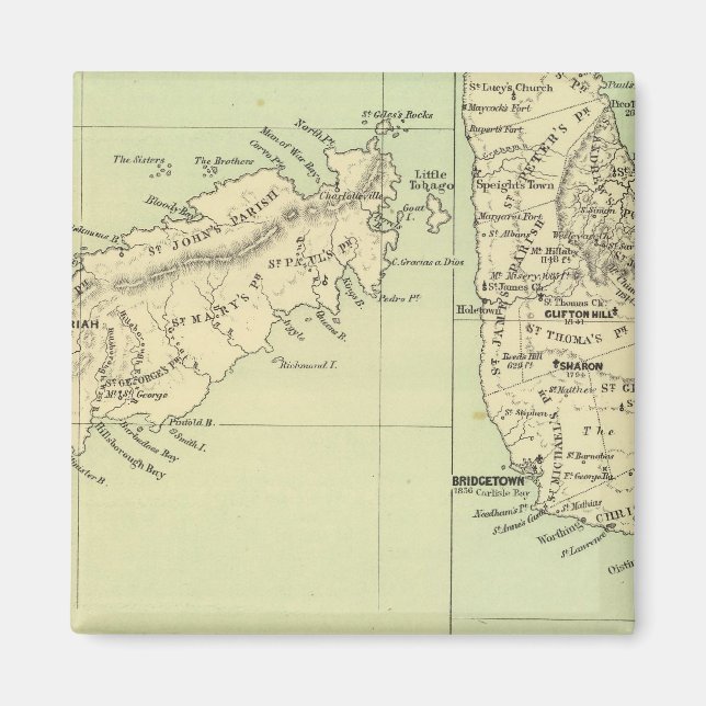 Imán Barbados (Frente)