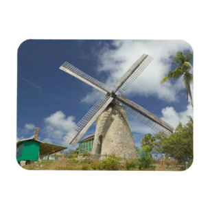 Imán BARBADOS, Costa Noreste, Morgan Lewis: Morgan