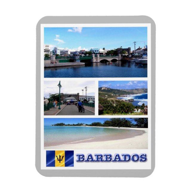 Imán Barbados - Mosaico - (Vertical)