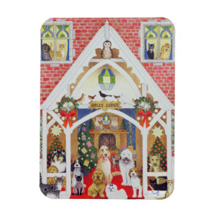 Imán Barbas blancos y negros