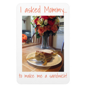 Imán barbudo del bocadillo del dragón