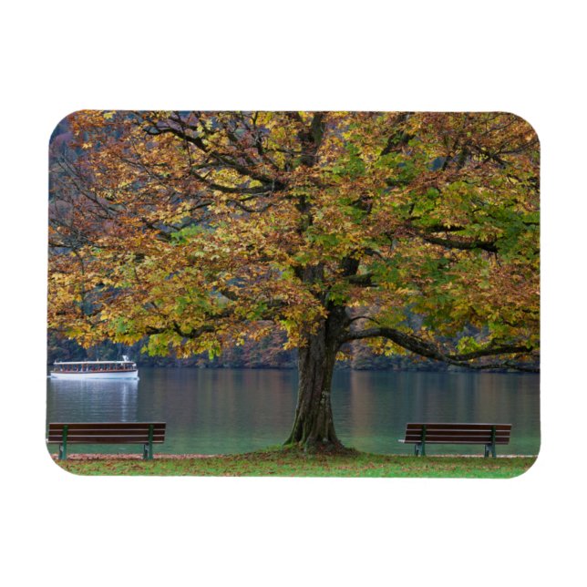 Imán Barca en un lago en otoño, Alemania (Horizontal)