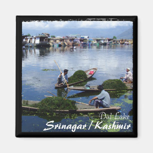 Imán Barcos de Cachemira, Srinagar - de Shikara (imán)