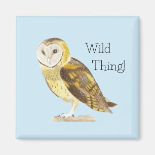 Imán Barn Owl