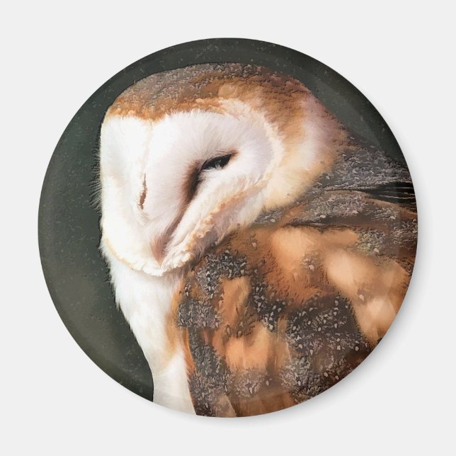 IMÁN BARN OWL (Frente)
