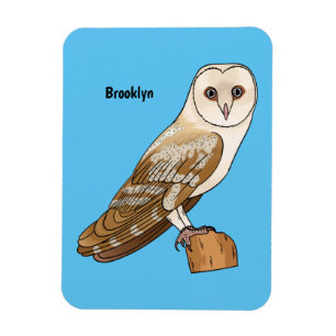Imán Barn owl bird cartoon illustration
